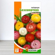 Насіння гелiхрiзуму Безсмертник, 0,2г, ТМ Яскрава